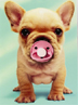 Pacifier Greeting Card