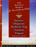 The Matrix Model for Teens and Young Adults Therapist Manual