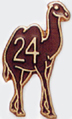 Twenty-Four Hour Camel Pin