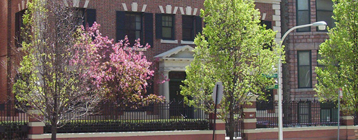 Alcohol Chicago Ill In Rehabilitation Alcohol Chicago Ill In Rehabilitation