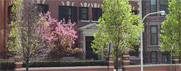 Chicago, IL substance abuse addiction treatment center Chicago, IL substance abuse addiction treatment center