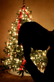 Tips for preventing the holiday blues and staying sober
