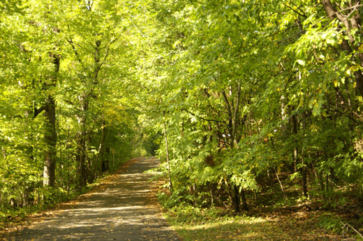 Scenic walking paths for both reflection and exercise.