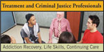Treatment and Criminal Justice Professionals Webinars