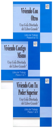 Product: Colección de tres Libros de ejercicios para el Libro Grande (The Big Book Workbooks Set Spanish)