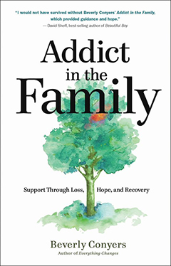 Product: Addict In The Family 2nd Edition