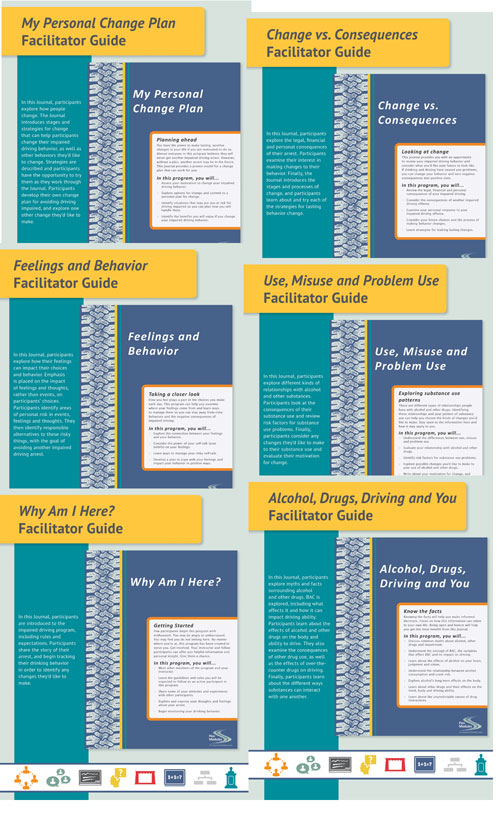 Product: Flex Modules Facilitator Guides, Set of 6 Topics