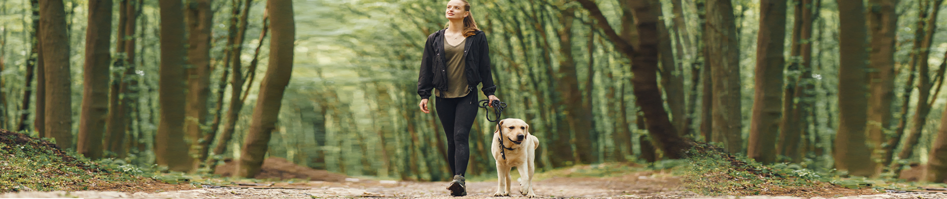 Woman walking her dog on a wooded trail