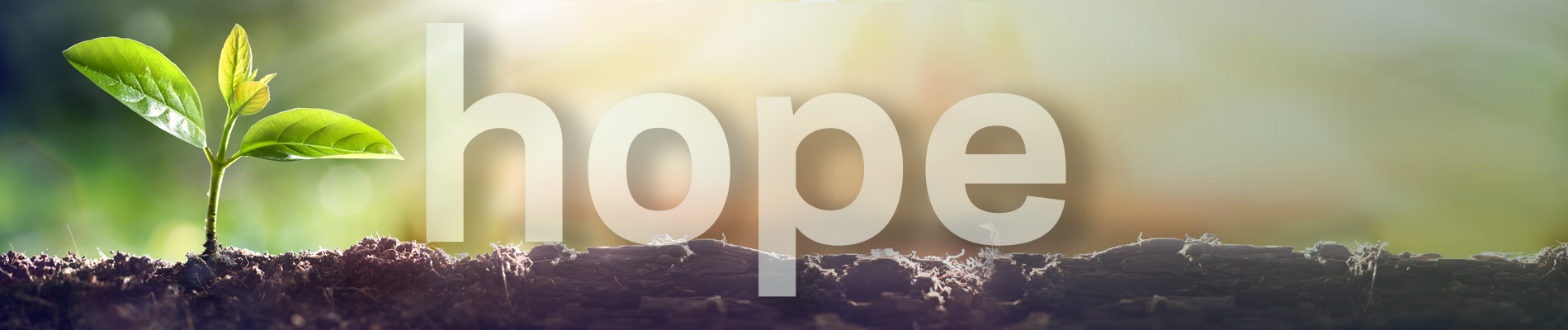Ground image with a green sprout and the word hope