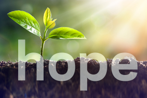 Ground image with a green sprout and the word hope