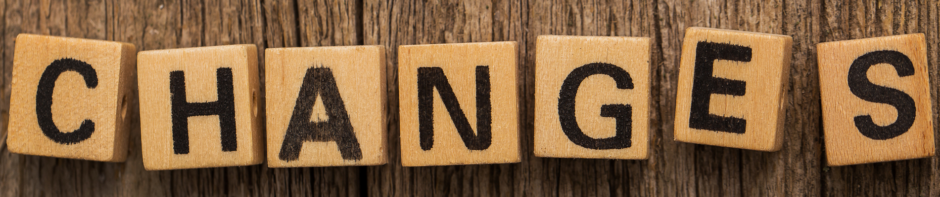 Wooden blocks spelling changes