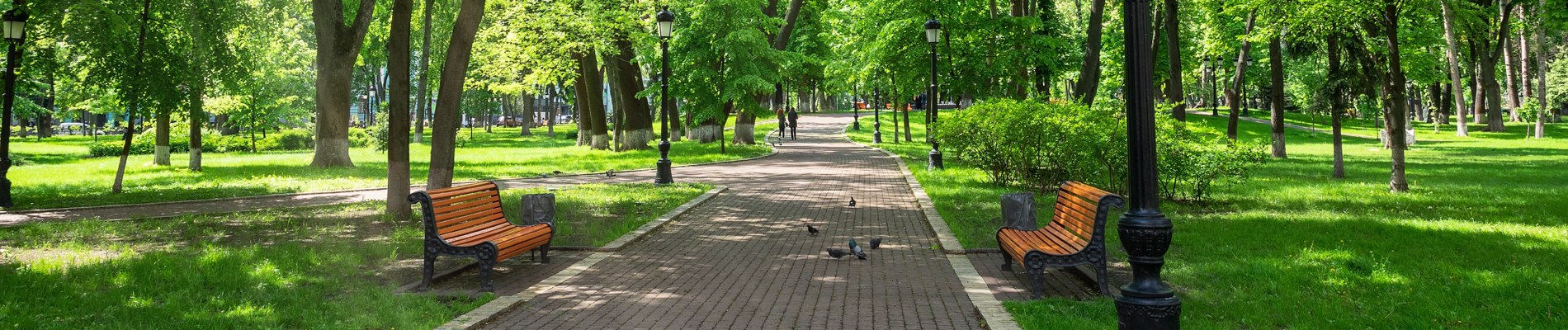 Park walkway with two empty benches