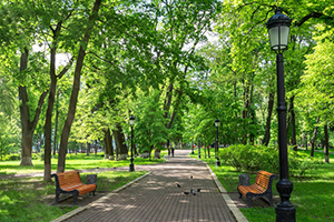Park walkway with two empty benches