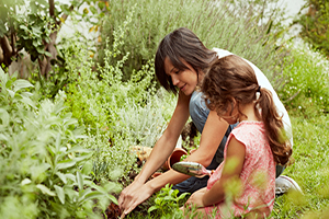Mother and daughter digging in and planting herbs