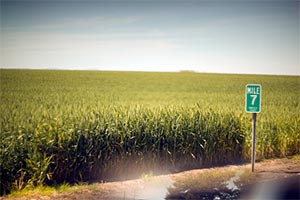 A green field with a mile marker sign on the forefront