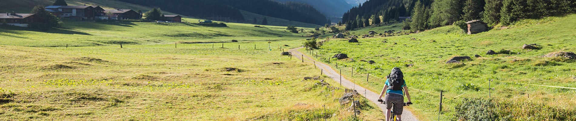 A woman riding a bike down a fence lined valley path