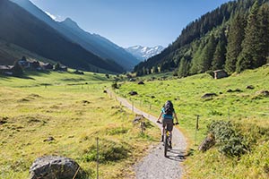 A woman riding a bike down a fence lined valley path