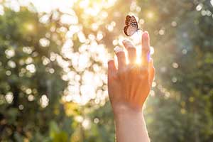 fingers raised with butterfly on one finger with sunlight shinning through a tree canopy