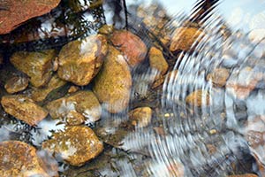 Rocks viewed through shallow water with a light reflection