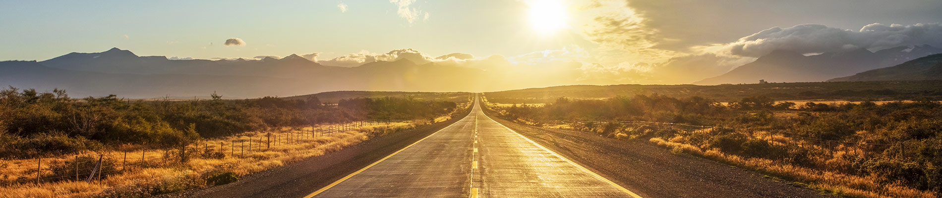Open country roadway into the sunshine lined with shrubs and fencing