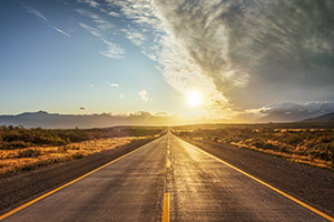 Open country roadway into the sunshine lined with shrubs and fencing