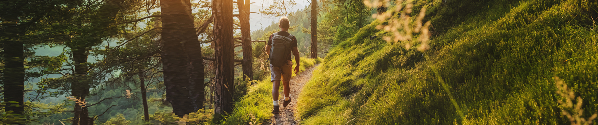 A man with a backpack walking on a trail through the woods