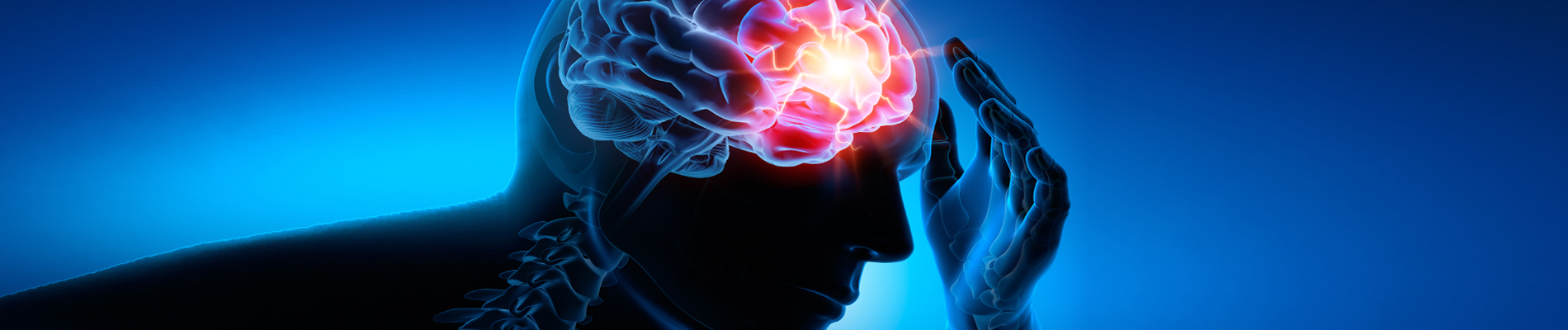 A scientific body silhouette, with a highlighted brain function