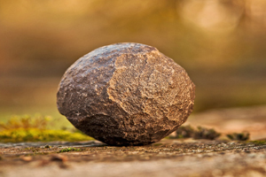 Medium size rock sitting alone on a flat rocky surface