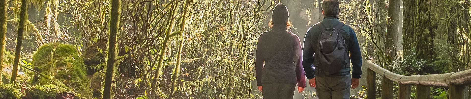 Couple walking wooded trail