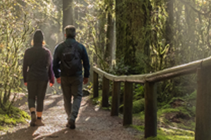 Couple walking wooded trail