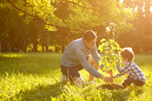 father and son planting a tree in a wooded area clearing