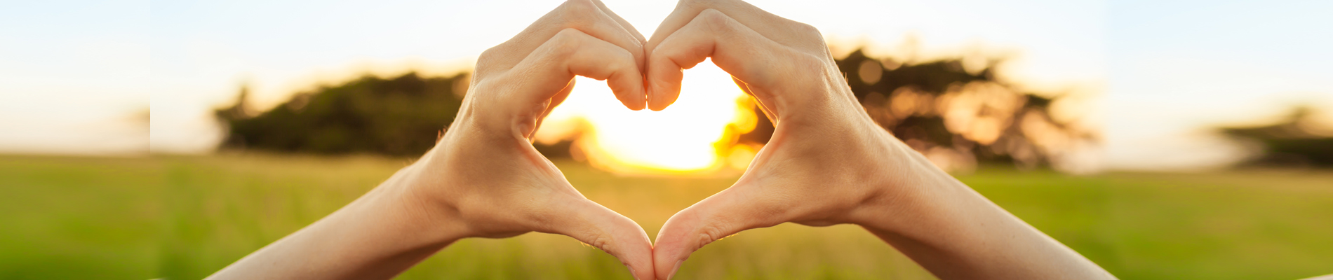 Hands creating a heart with sun and field in background